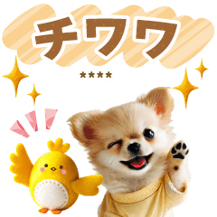 [LINEスタンプ] チワワの名前入り＆デカ文字スタンプ