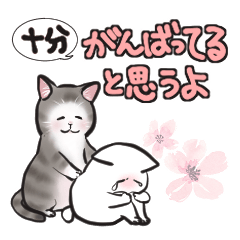 [LINEスタンプ] 中高年ねこ いたわることば