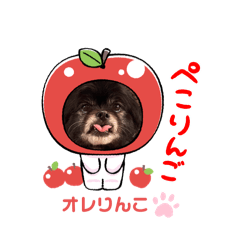 [LINEスタンプ] ポメチン♡おれっち