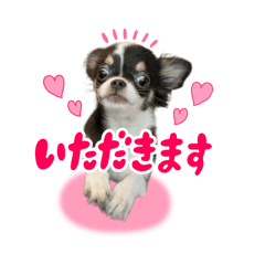 [LINEスタンプ] こてつ Part2