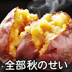 [LINEスタンプ] 【すんごい使える】焼き芋スタンプ