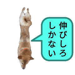 [LINEスタンプ] 福ちゃんだね♡吹き出し編2