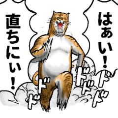 [LINEスタンプ] どうぶつが大好き01_pro_ver3敬語の画像（メイン）