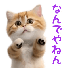 [LINEスタンプ] 踊る！ダンス猫4（関西弁）の画像（メイン）