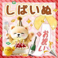 [LINEスタンプ] しばいぬの毎年使えるお祝い＆イベントの画像（メイン）