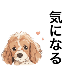 [LINEスタンプ] 無言で攻めるコッカー・スパニエル。