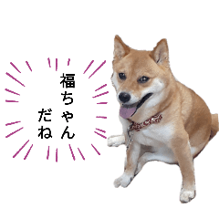 [LINEスタンプ] 福ちゃんだね♡吹き出し編