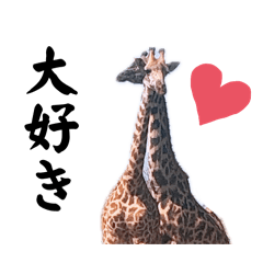 [LINEスタンプ] 愉快なケニアの仲間たち