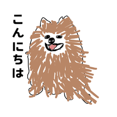 [LINEスタンプ] ポメラニアン挨拶スタンプ