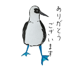 [LINEスタンプ] 会話用    海の鳥さんスタンプ