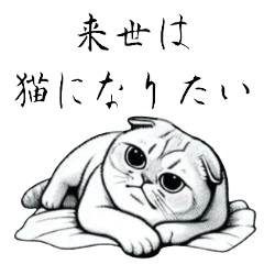 [LINEスタンプ] やる気が出ないねこ