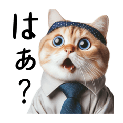 [LINEスタンプ] Z世代ねこ シリーズ 働く会社員