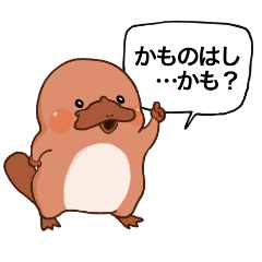 [LINEスタンプ] かものはし…かも？