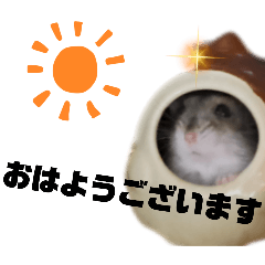 [LINEスタンプ] ジャンガリアンハムスターのハム太郎 6