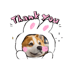 [LINEスタンプ] 犬の動くスタンプ1