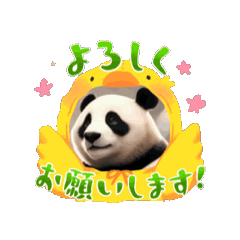 [LINEスタンプ] パンダの動くスタンプ10月11月12月1月