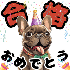 [LINEスタンプ] お祝いに使える可愛いブリンドルフレブル