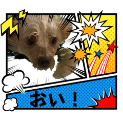[LINEスタンプ] わんちゃち3