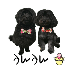 [LINEスタンプ] 山下さんちのLady＆Bisco のデカ文字
