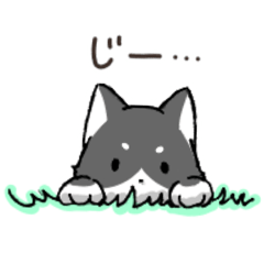 [LINEスタンプ] マロ眉のクロジロー