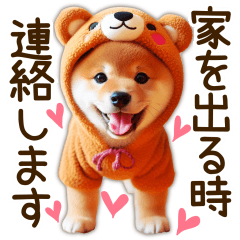 [LINEスタンプ] 柴犬の待ち合わせ＆日常会話