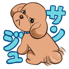 [LINEスタンプ] DOG SIGNAL サンジュの日常用スタンプの画像（メイン）