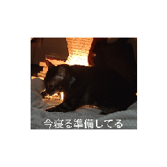 [LINEスタンプ] 動くリボン