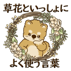 [LINEスタンプ] 柴犬・茶色い犬さん【草花と一緒】2024