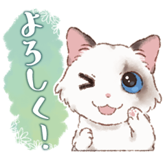 [LINEスタンプ] ラグドール の ジル