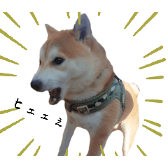 [LINEスタンプ] とくだらけ