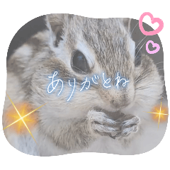 [LINEスタンプ] みんなと一緒 29
