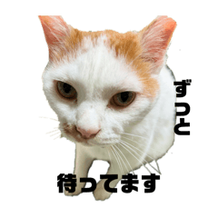 [LINEスタンプ] ぽにょすた221