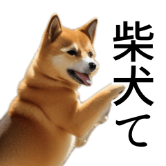 [LINEスタンプ] 柴犬で返信！