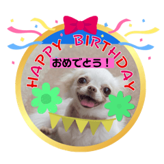 [LINEスタンプ] ワンちゃんスタンプ、yamami