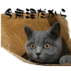 [LINEスタンプ] わっちゃん1(生理前のアレ)