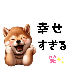 [LINEスタンプ] かわいい柴犬♡たち