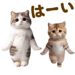 [LINEスタンプ] 踊る！ネコたち！にゃんだふる～の画像（メイン）