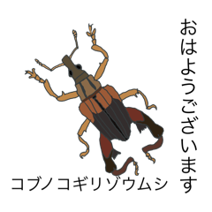 [LINEスタンプ] 日本の生き物スタンプ