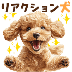 [LINEスタンプ] リアクション大のトイプードル