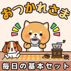 [LINEスタンプ] ずっと使える毎日の基本 #柴犬クッキー1の画像（メイン）