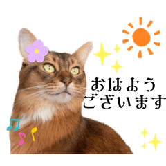 [LINEスタンプ] 我が家のマロンティーヌ 5