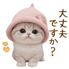 [LINEスタンプ] スコティッシュ猫 毎日使える可愛い 敬語