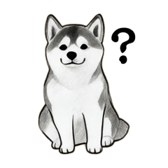 [LINEスタンプ] 柴犬さんの日常会話