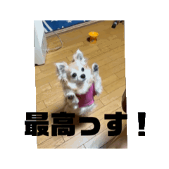 [LINEスタンプ] ここたんぷ2