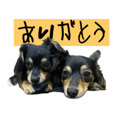 [LINEスタンプ] ちわっくすひまてんびび