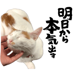 [LINEスタンプ] うちのラム3の画像（メイン）