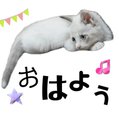 [LINEスタンプ] おてんば小僧の3号の画像（メイン）