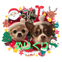 [LINEスタンプ] この世の悪★ザ・うーちー！