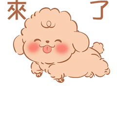 [LINEスタンプ] Le petit Roi 動くスタンプ - 中国語 02