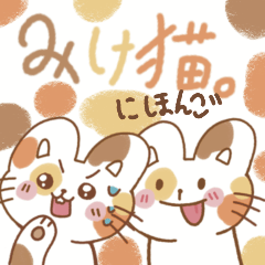 [LINEスタンプ] 毎日ミケねこちゃん